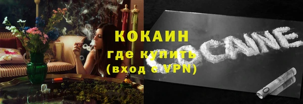 прущая мука Ельня