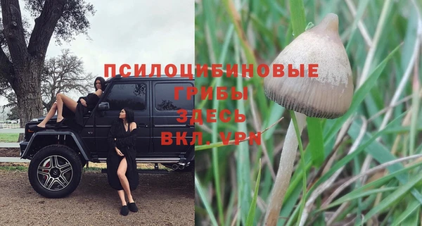 гашик Заводоуковск